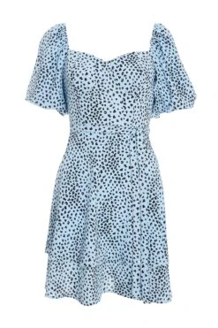 Blue Animal Print Skater Dress
