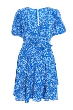 Blue Smudge Animal Print Mini Dress