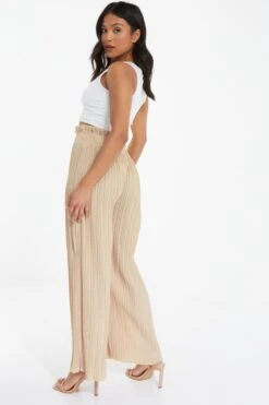 Petite Stone Pleated Wide Leg Trousers -Outlet Clothyne Store 00100037395 XB