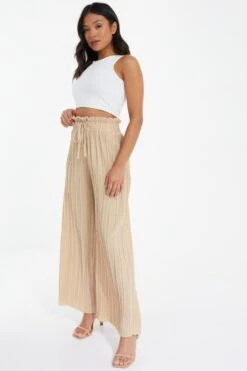 Petite Stone Pleated Wide Leg Trousers -Outlet Clothyne Store 00100037395 XS