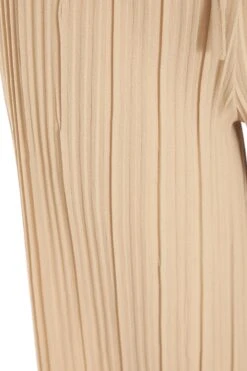 Petite Stone Pleated Wide Leg Trousers -Outlet Clothyne Store 00100037395 ZS