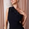 Black One Shoulder Frill Jumpsuit